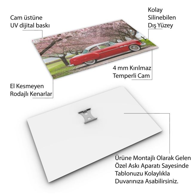 Arabalar%20Cam%20Tablo%20-%20Klasik%20Arabalar%20-%20Yatay%20Motif%2002-011