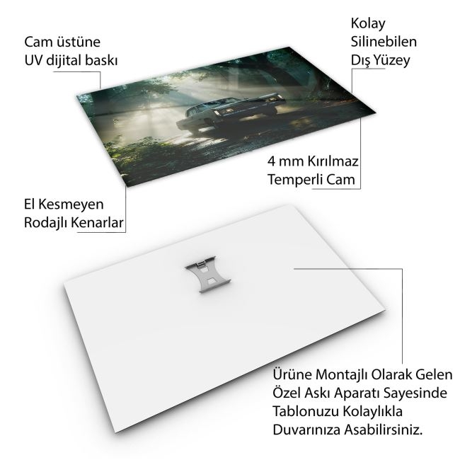 Arabalar%20Cam%20Tablo%20-%20Klasik%20Arabalar%20-%20Yatay%20Motif%2002-032