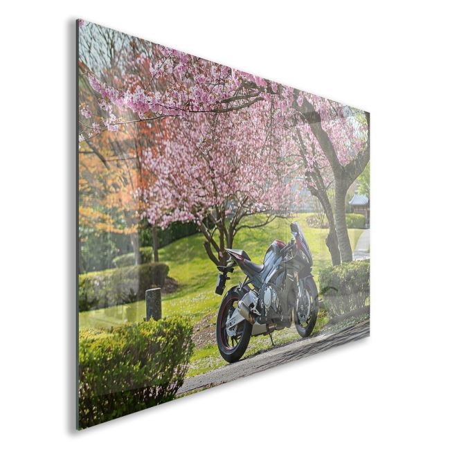 Arabalar%20Cam%20Tablo%20-%20Motosikletler%20-%20Yatay%20Motif%2004-011