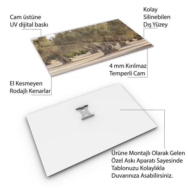 Türkiye%20Manzara%20Cam%20Tablo%20-%20Karışık%20-%20Yatay%20Motif%2001-032