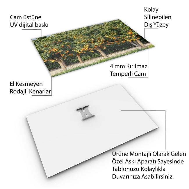 Türkiye%20Manzara%20Cam%20Tablo%20-%20Karışık%20-%20Yatay%20Motif%2001-054