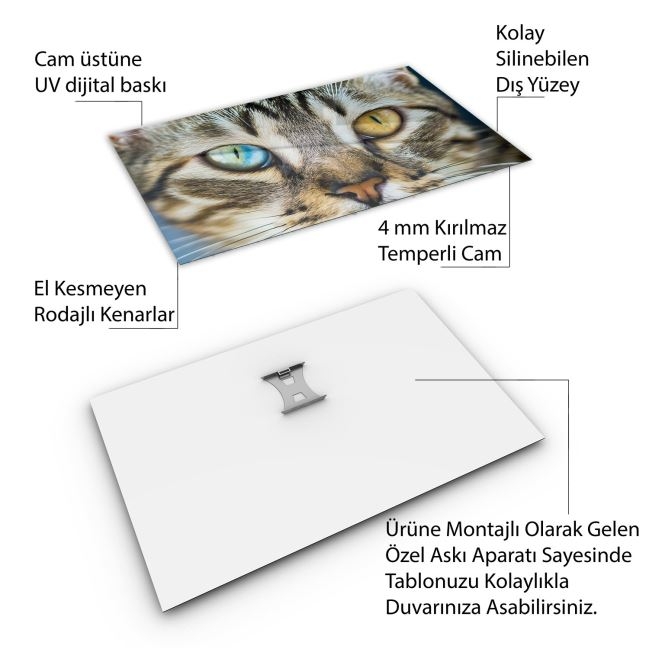 Türkiye%20Manzara%20Cam%20Tablo%20-%20Karışık%20-%20Yatay%20Motif%2001-114