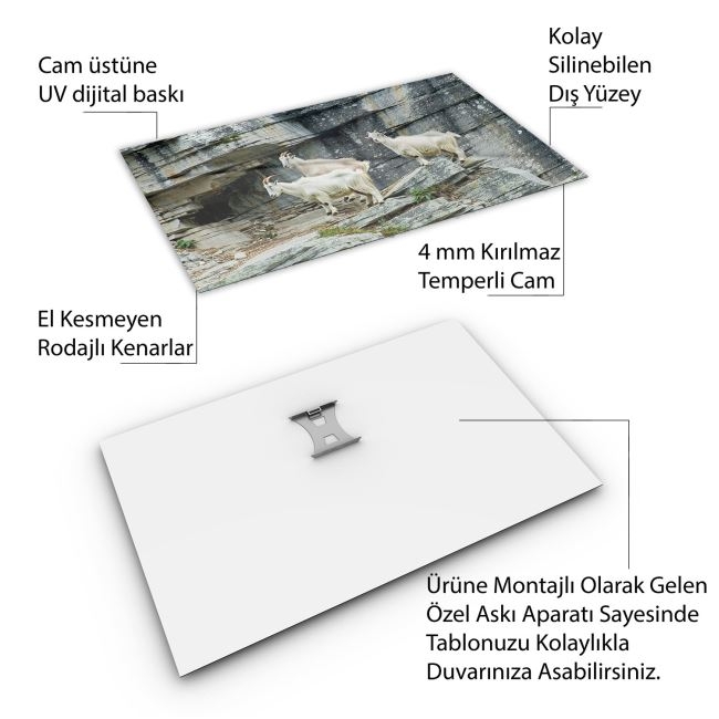 Türkiye%20Manzara%20Cam%20Tablo%20-%20Karışık%20-%20Yatay%20Motif%2001-193