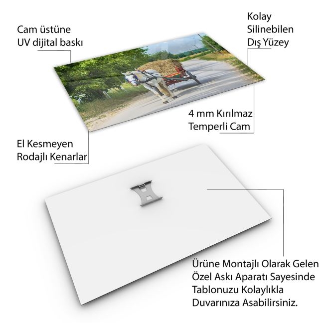 Türkiye%20Manzara%20Cam%20Tablo%20-%20Karışık%20-%20Yatay%20Motif%2001-215