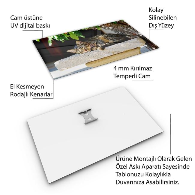 Türkiye%20Manzara%20Cam%20Tablo%20-%20Karışık%20-%20Yatay%20Motif%2001-249