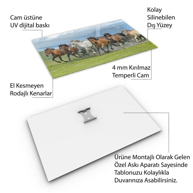 Türkiye%20Manzara%20Cam%20Tablo%20-%20Karışık%20-%20Yatay%20Motif%2001-289