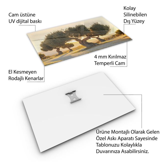 Türkiye%20Manzara%20Cam%20Tablo%20-%20Karışık%20-%20Yatay%20Motif%2001-291