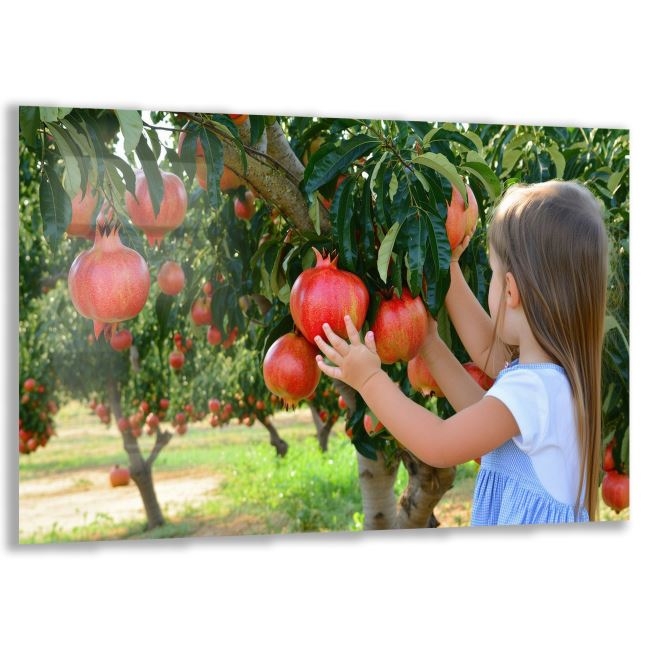 Türkiye%20Manzara%20Cam%20Tablo%20-%20Karışık%20-%20Yatay%20Motif%2001-320