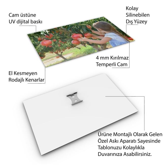Türkiye%20Manzara%20Cam%20Tablo%20-%20Karışık%20-%20Yatay%20Motif%2001-320