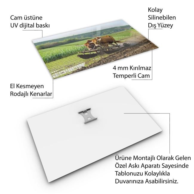 Türkiye%20Manzara%20Cam%20Tablo%20-%20Karışık%20-%20Yatay%20Motif%2001-329