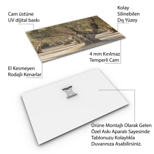 Türkiye%20Manzara%20Cam%20Tablo%20-%20Karışık%20-%20Yatay%20Motif%2001-333