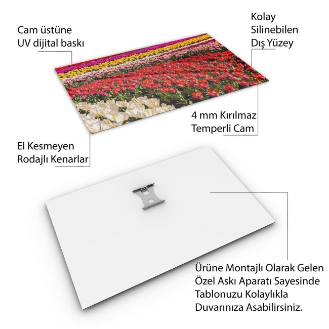 Türkiye%20Manzara%20Cam%20Tablo%20-%20Karışık%20-%20Yatay%20Motif%2001-431