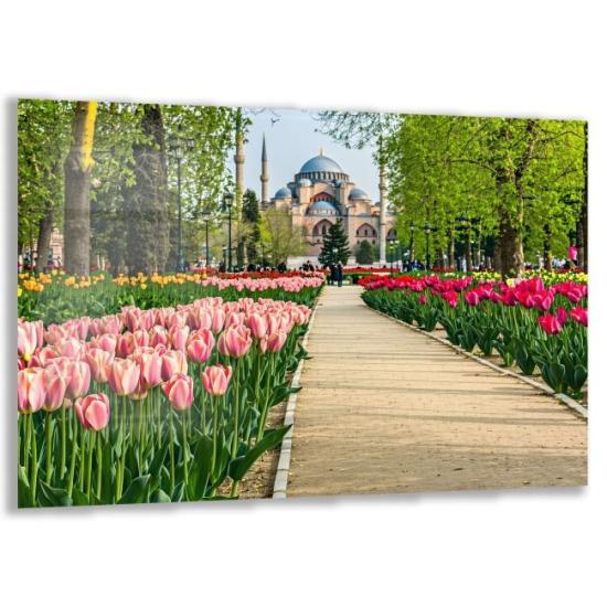 Doğa Manzaraları Cam Tablo