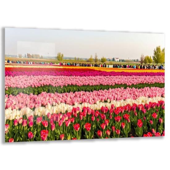 Doğa Manzaraları Cam Tablo