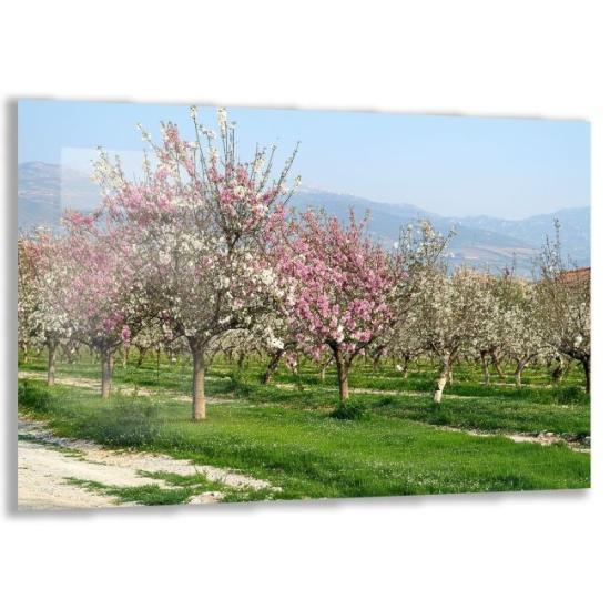 Türkiye Manzaraları Cam Tablo