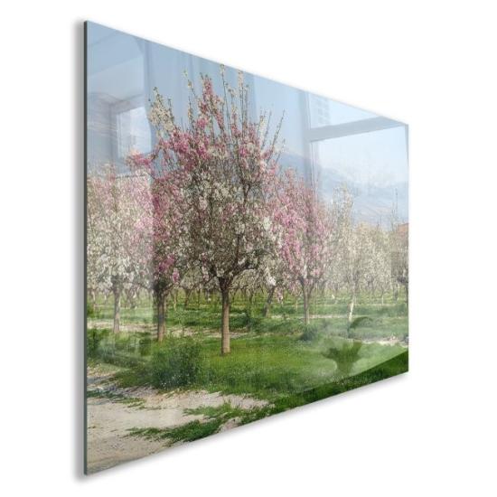 Türkiye Manzaraları Cam Tablo