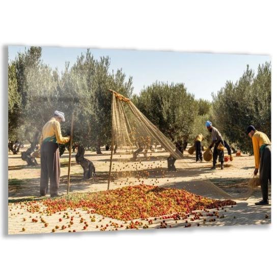 Türkiye Manzaraları Cam Tablo