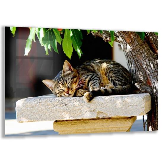 Türkiye Manzaraları Cam Tablo