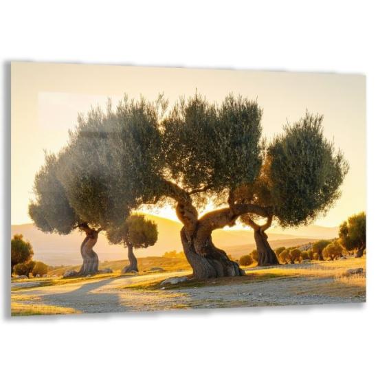Türkiye Manzaraları Cam Tablo