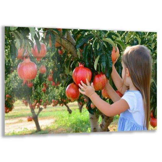 Türkiye Manzaraları Cam Tablo