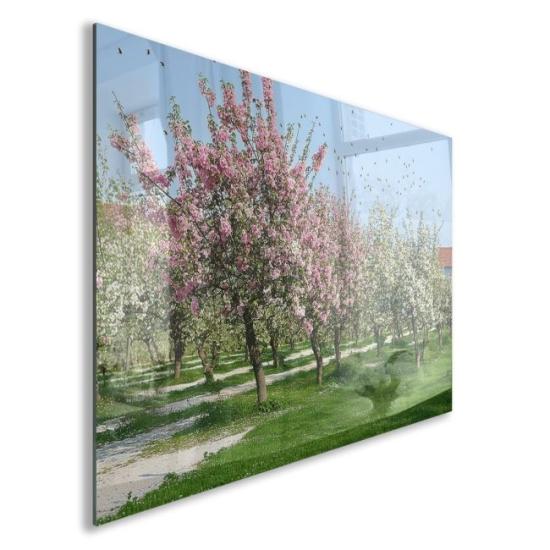 Türkiye Manzaraları Cam Tablo