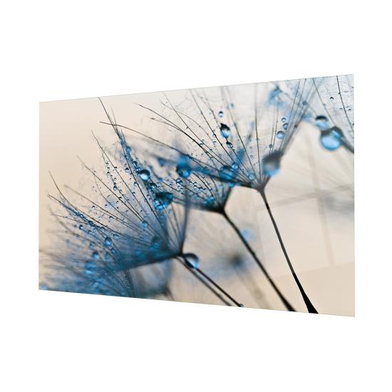 Ferah Mavi Karahindiba Cam Tablo