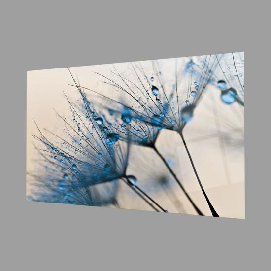 Ferah Mavi Karahindiba Cam Tablo