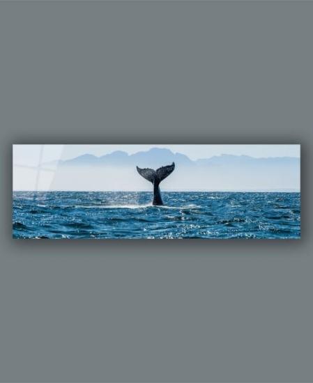 Panoramik Deniz ve Balina Kuyruğu Cam Tablo